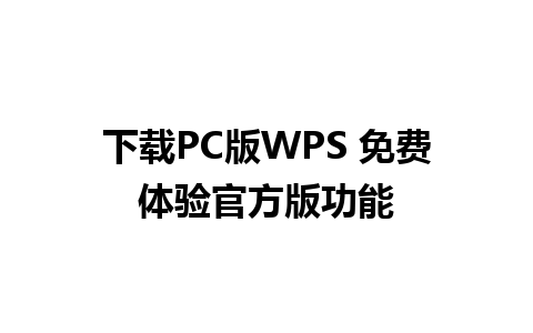 下载PC版WPS 免费体验官方版功能