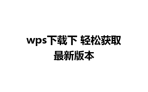 wps下载下 轻松获取最新版本