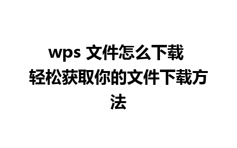 wps 文件怎么下载 轻松获取你的文件下载方法