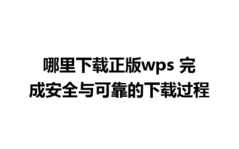 哪里下载正版wps 完成安全与可靠的下载过程