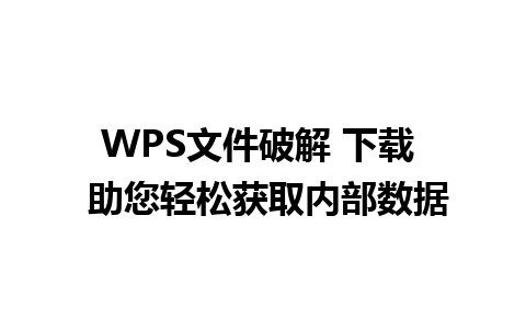 WPS文件破解 下载  助您轻松获取内部数据