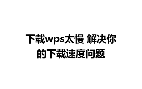 下载wps太慢 解决你的下载速度问题