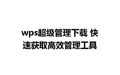 wps超级管理下载 快速获取高效管理工具