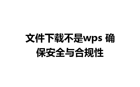 文件下载不是wps 确保安全与合规性