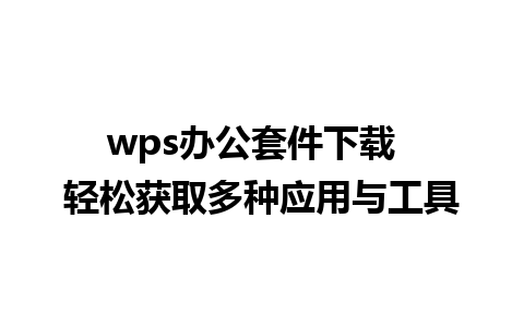 wps办公套件下载  轻松获取多种应用与工具