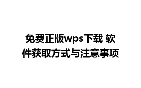 免费正版wps下载 软件获取方式与注意事项