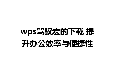 wps驾驭宏的下载 提升办公效率与便捷性