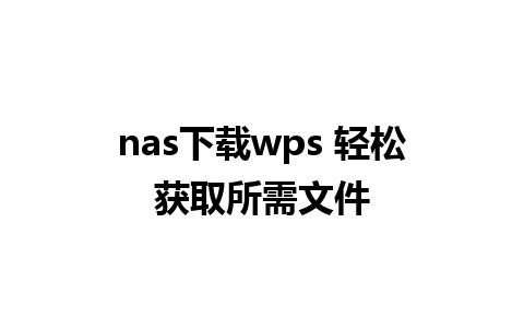 nas下载wps 轻松获取所需文件