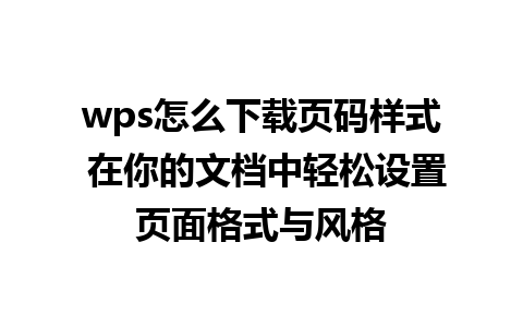 wps怎么下载页码样式 在你的文档中轻松设置页面格式与风格