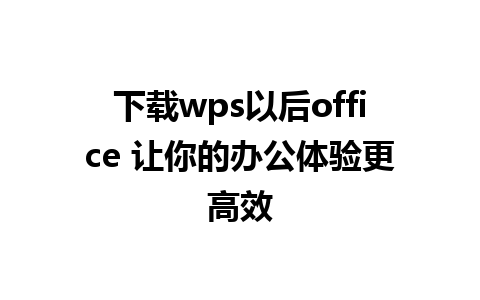 下载wps以后office 让你的办公体验更高效