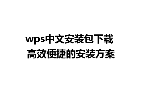 wps中文安装包下载 高效便捷的安装方案