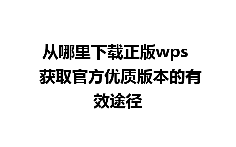 从哪里下载正版wps  获取官方优质版本的有效途径