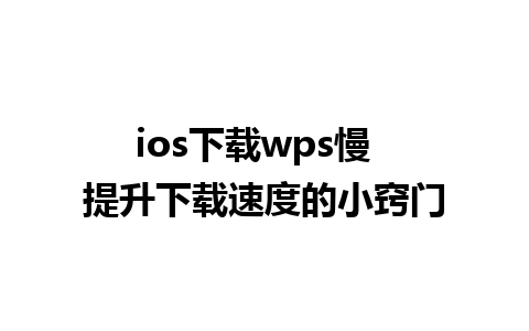 ios下载wps慢  提升下载速度的小窍门