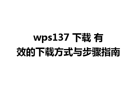 wps137 下载 有效的下载方式与步骤指南