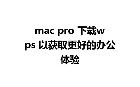 mac pro 下载wps 以获取更好的办公体验