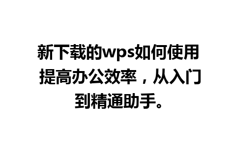 新下载的wps如何使用 提高办公效率，从入门到精通助手。