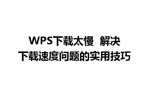 WPS下载太慢  解决下载速度问题的实用技巧