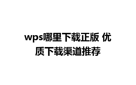 wps哪里下载正版 优质下载渠道推荐