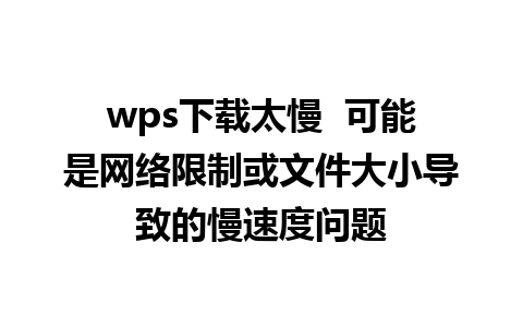 wps下载太慢  可能是网络限制或文件大小导致的慢速度问题