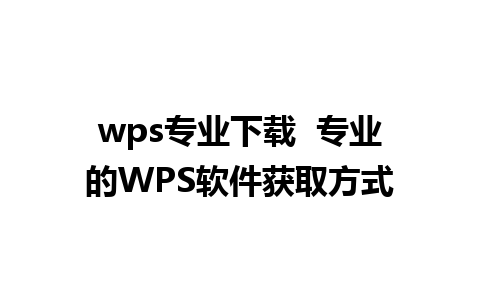 wps专业下载  专业的WPS软件获取方式