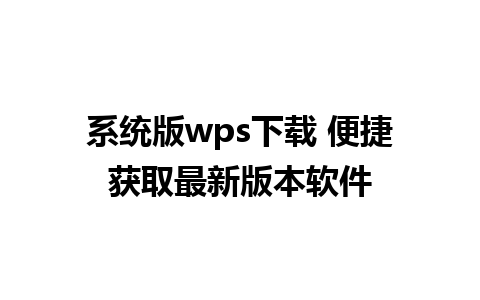 系统版wps下载 便捷获取最新版本软件