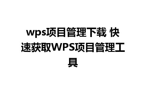 wps项目管理下载 快速获取WPS项目管理工具