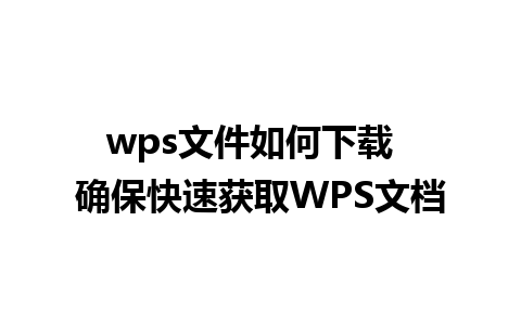 wps文件如何下载  确保快速获取WPS文档