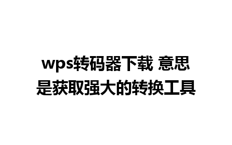 wps转码器下载 意思是获取强大的转换工具