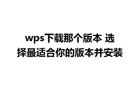 wps下载那个版本 选择最适合你的版本并安装