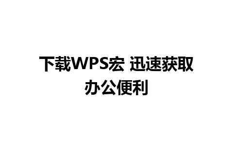 下载WPS宏 迅速获取办公便利