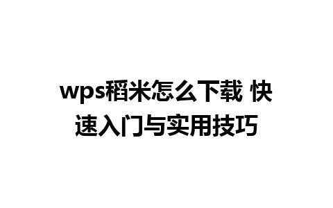 wps稻米怎么下载 快速入门与实用技巧