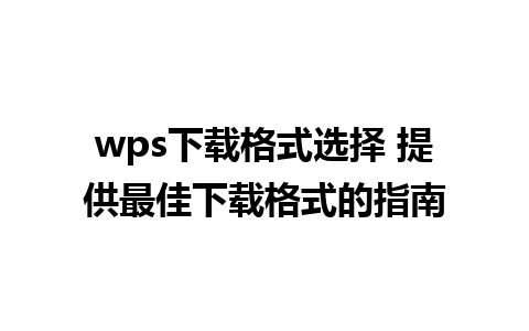 wps下载格式选择 提供最佳下载格式的指南