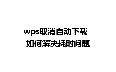 wps取消自动下载  如何解决耗时问题