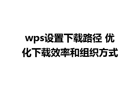 wps设置下载路径 优化下载效率和组织方式