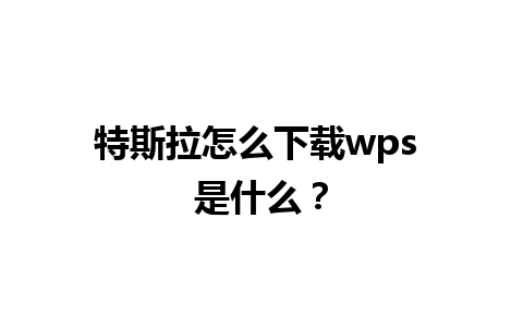 特斯拉怎么下载wps 是什么？