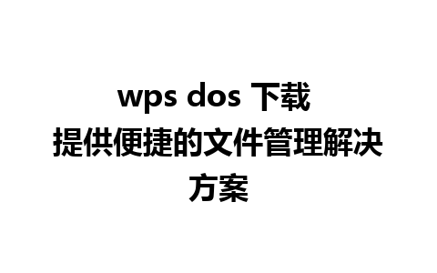 wps dos 下载 提供便捷的文件管理解决方案