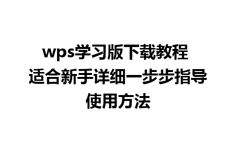 wps学习版下载教程 适合新手详细一步步指导使用方法