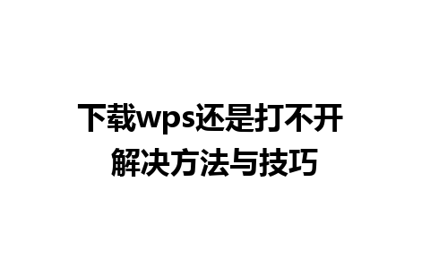 下载wps还是打不开 解决方法与技巧