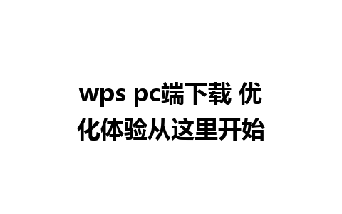 wps pc端下载 优化体验从这里开始