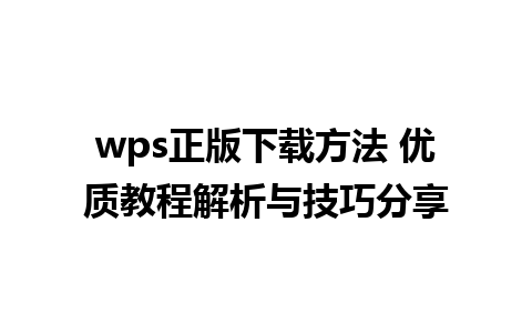 wps正版下载方法 优质教程解析与技巧分享