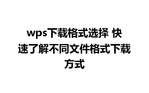 wps下载格式选择 快速了解不同文件格式下载方式