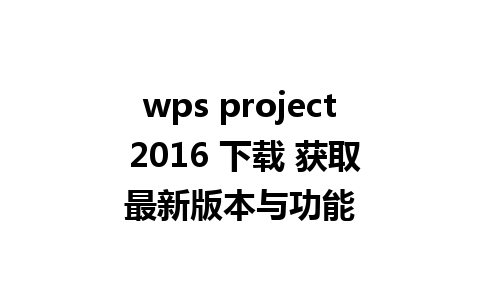 wps project 2016 下载 获取最新版本与功能