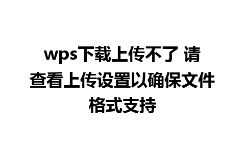 wps下载上传不了 请查看上传设置以确保文件格式支持