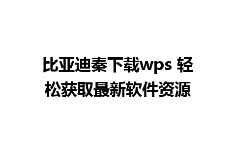 比亚迪秦下载wps 轻松获取最新软件资源