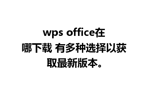 wps office在哪下载 有多种选择以获取最新版本。