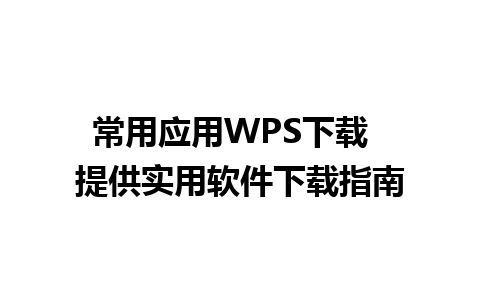 常用应用WPS下载  提供实用软件下载指南