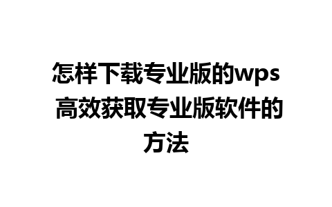 怎样下载专业版的wps 高效获取专业版软件的方法