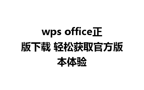 wps office正版下载 轻松获取官方版本体验