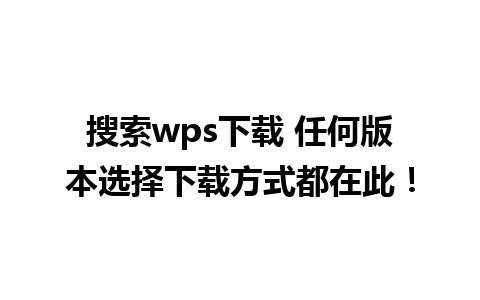 搜索wps下载 任何版本选择下载方式都在此！