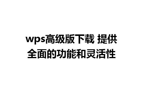 wps高级版下载 提供全面的功能和灵活性